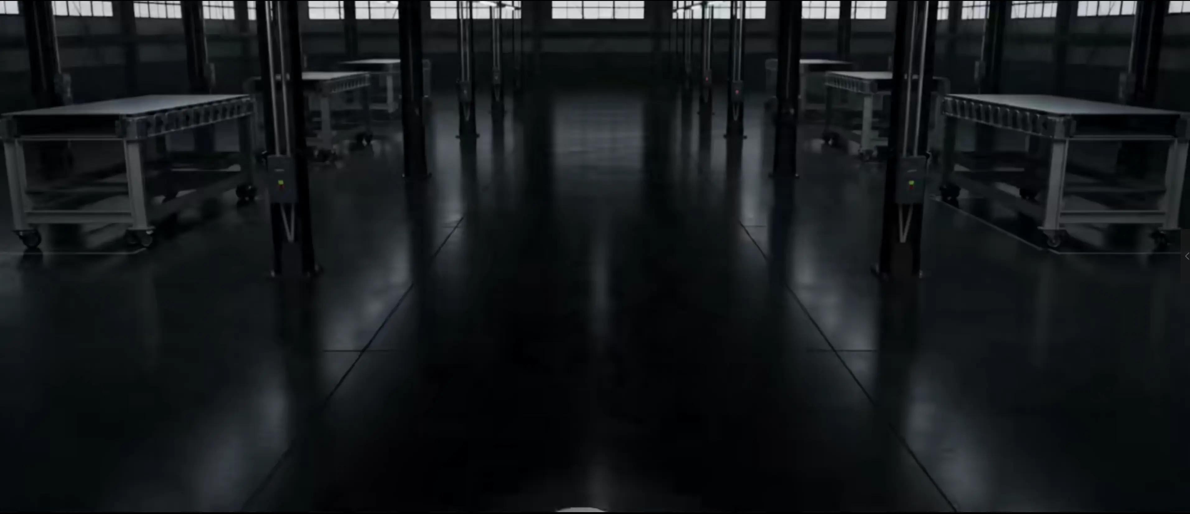Omni Video